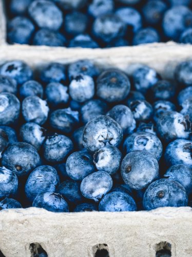 Fresh Blueberries iPad Wallpaper