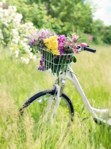 Romantic Bicycle in Meadow iPad Wallpaper
