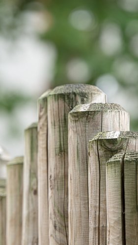 Wood Fence Mobile Wallpaper