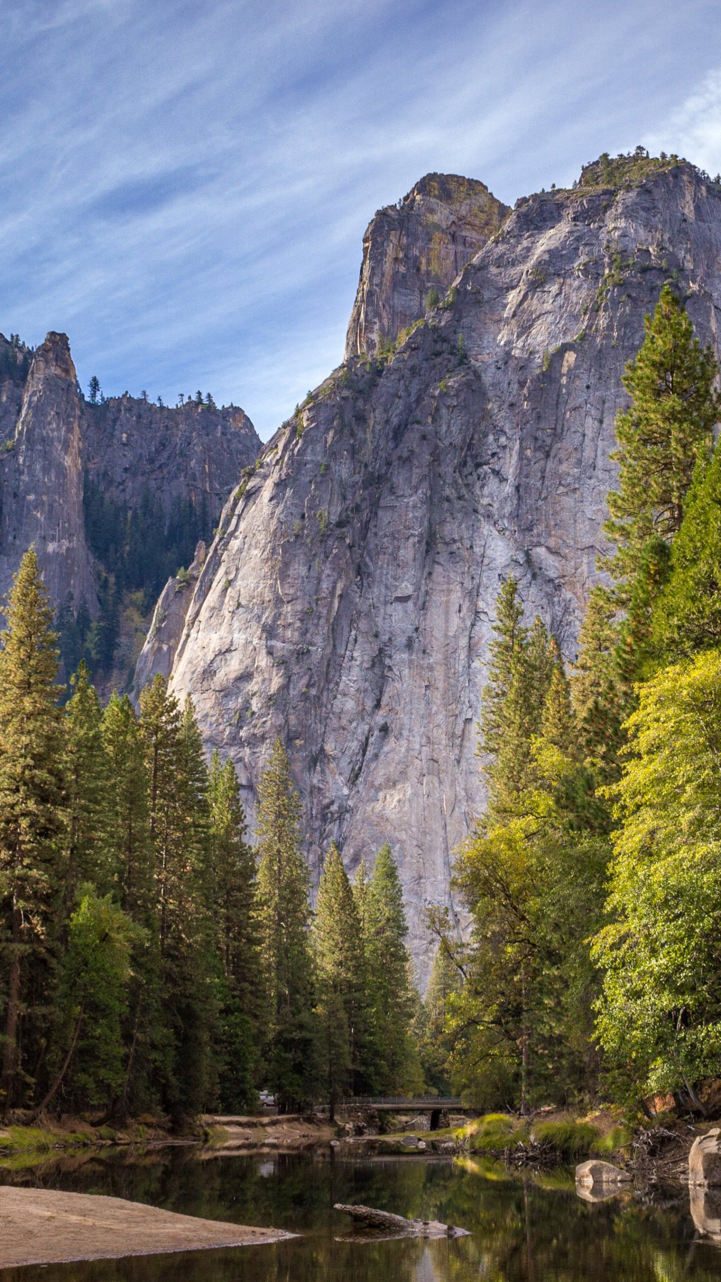 Mountain Trees Wallpaper Iphone Android Desktop Backgrounds