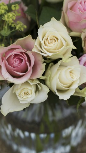Pink & White Roses in a Vase Tablet Wallpaper