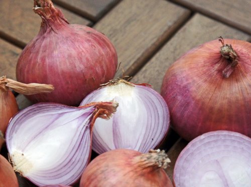 Onions  Wallpaper