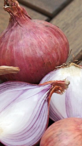 Onions Tablet Wallpaper