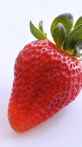 Strawberry Tablet Wallpaper