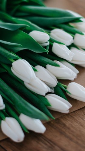 White Tulips Tablet Wallpaper