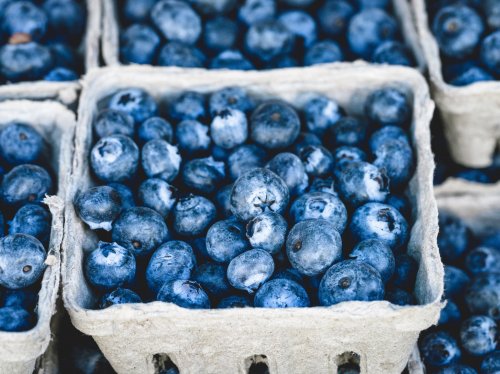 Fresh Blueberries  Wallpaper