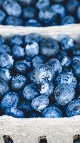 Fresh Blueberries Tablet Wallpaper