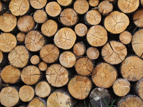 Wooden Logs Texture  Wallpaper