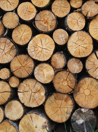 Wooden Logs Texture iPad Wallpaper