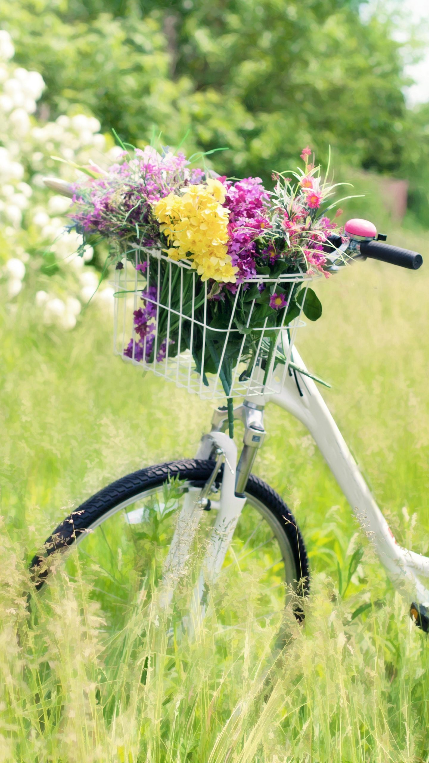Romantic Bicycle in Meadow Wallpaper - iPhone, Android & Desktop Backgrounds