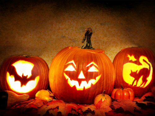 Jack o' Lantern Halloween Pumpkin  Wallpaper