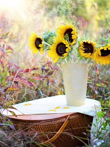 Romantic Picnic Basket & Sunflowers iPad Wallpaper