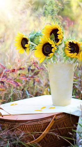 Romantic Picnic Basket & Sunflowers Tablet Wallpaper