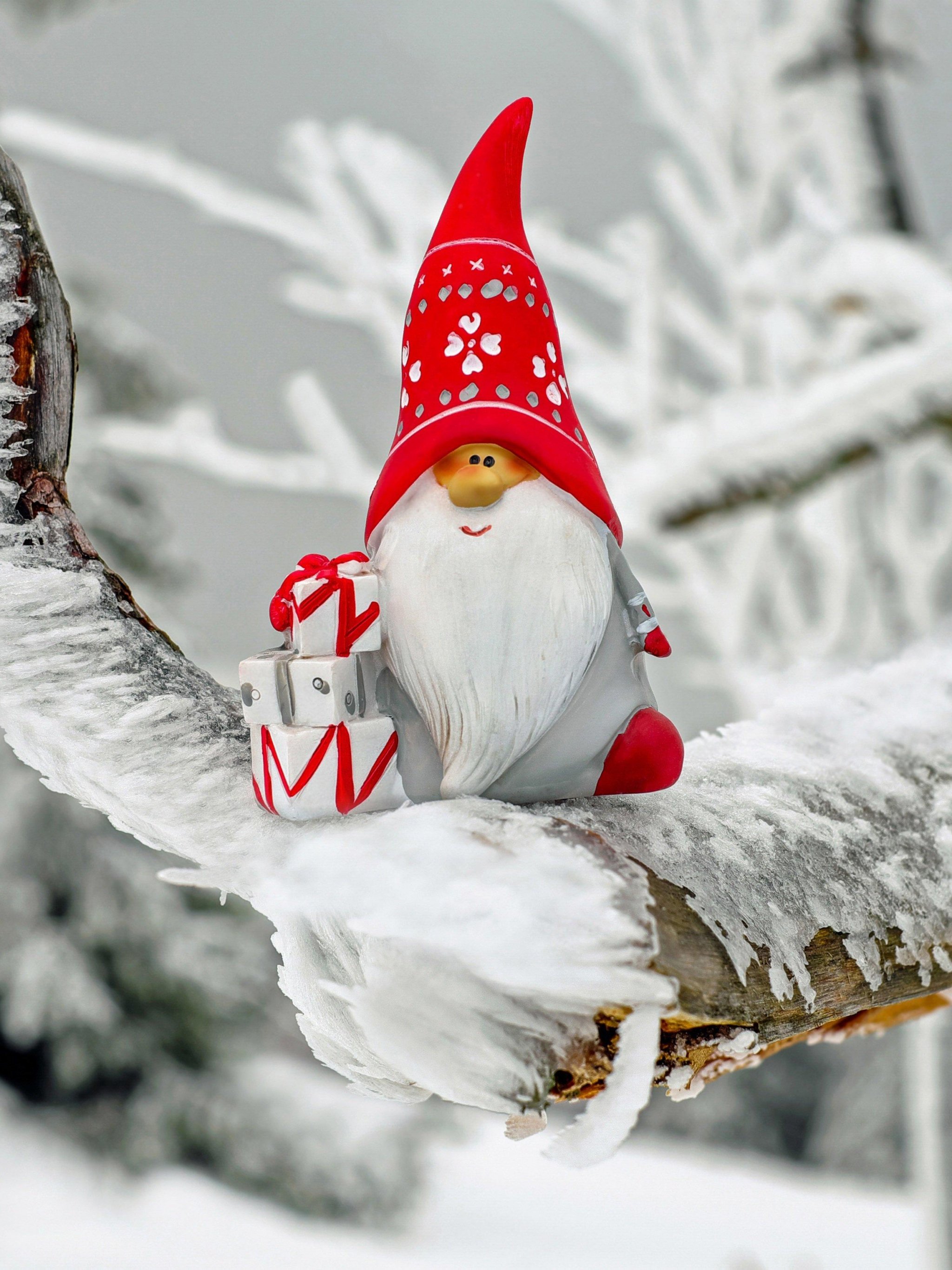 Christmas gnome HD wallpapers  Pxfuel