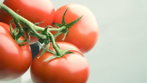 Fresh Tomatoes HD Desktop Wallpaper