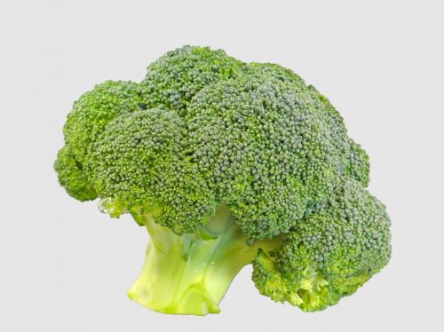 Broccoli  Wallpaper