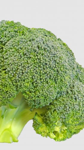Broccoli Mobile Wallpaper