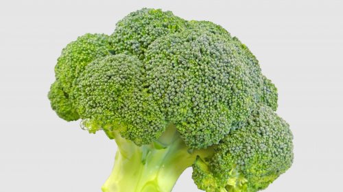 Broccoli HD Desktop Wallpaper